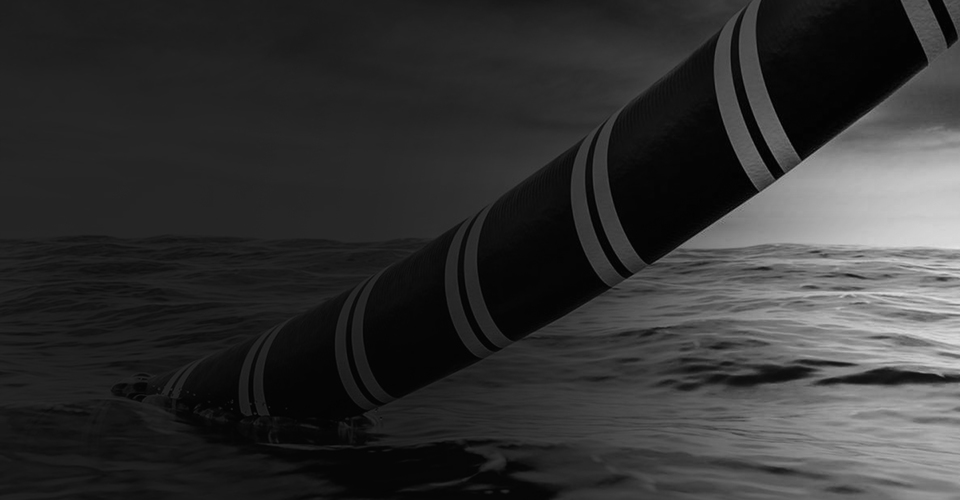 Neptune Submarine Networks